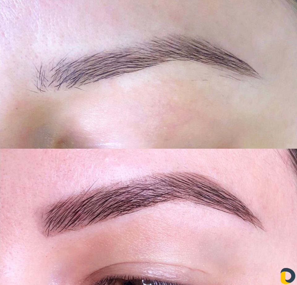Модели бесплатно