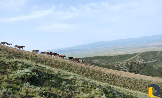 Модели