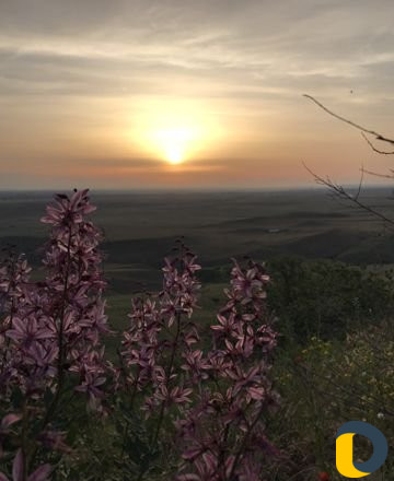 Модели