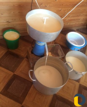 Молочные продукты