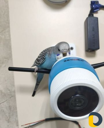 Монтаж видеонаблюдения