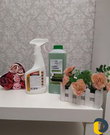 Моющий пылесос и пароочиститель Karcher