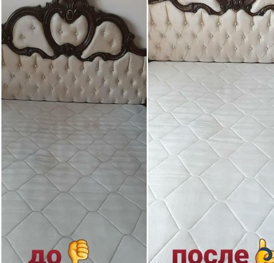 Моющий пылесос на прокат
