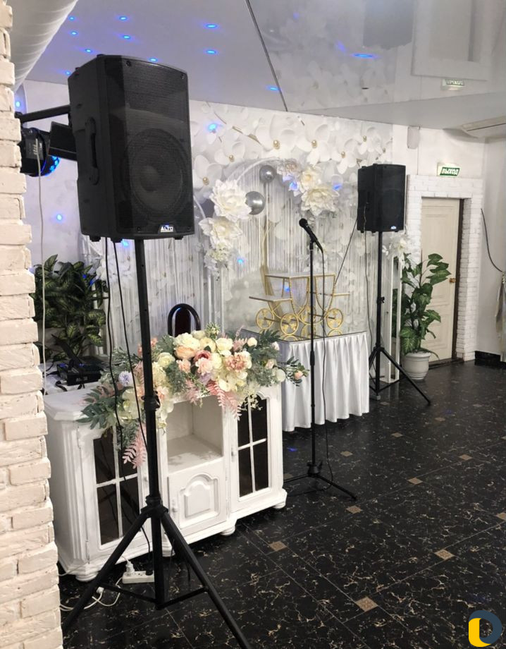 Музыкант на праздник
