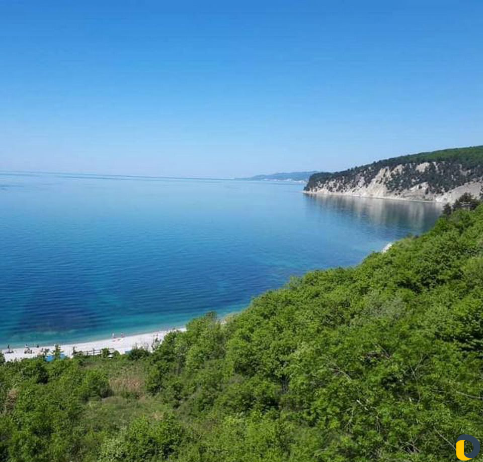На черное море. Услуги перевозки пассажиров