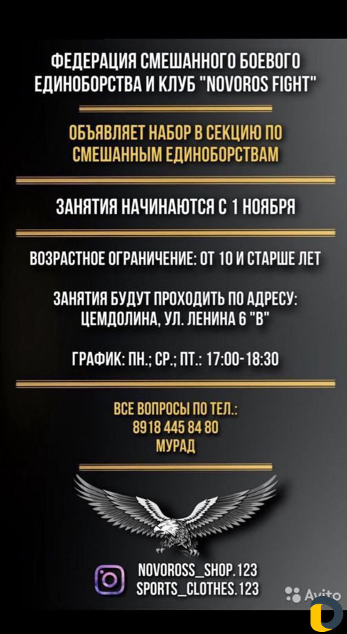 Набор в секцию по смешанным единаборствам