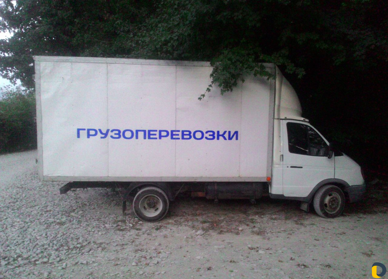 Наша газелька к Вашим услугам