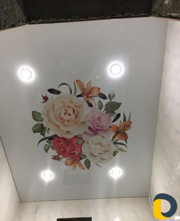 Натяжные потолки France Decor