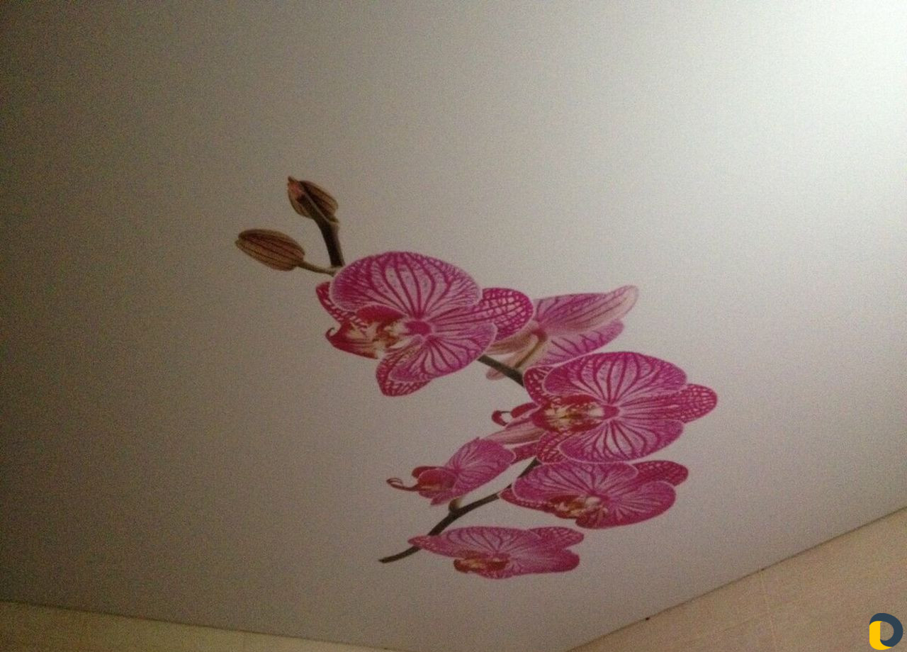 Натяжные потолки