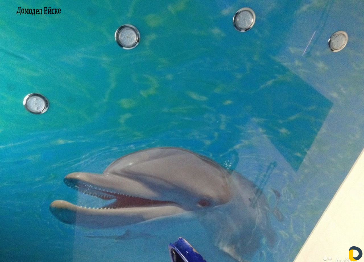 Натяжные потолки