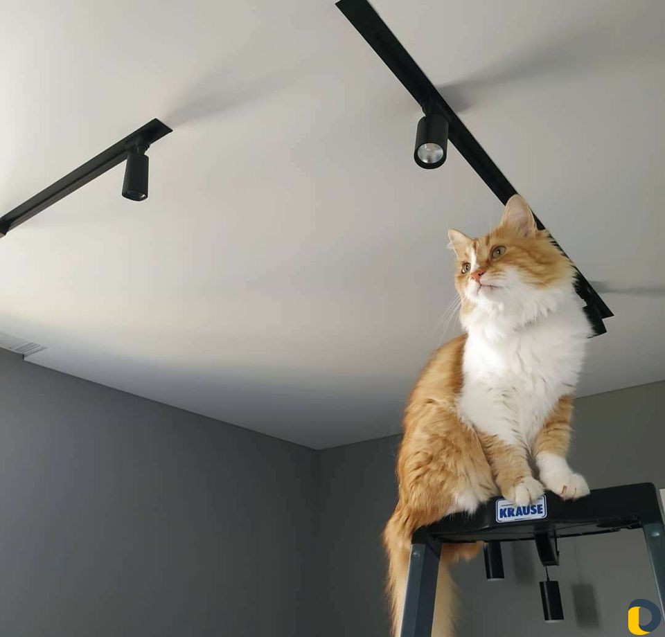 Натяжные Потолки в Северской