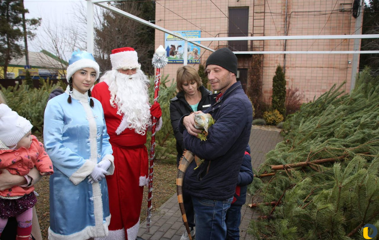 Новогодние праздники
