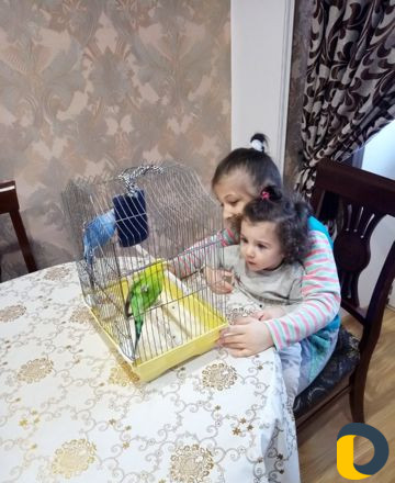 Няня