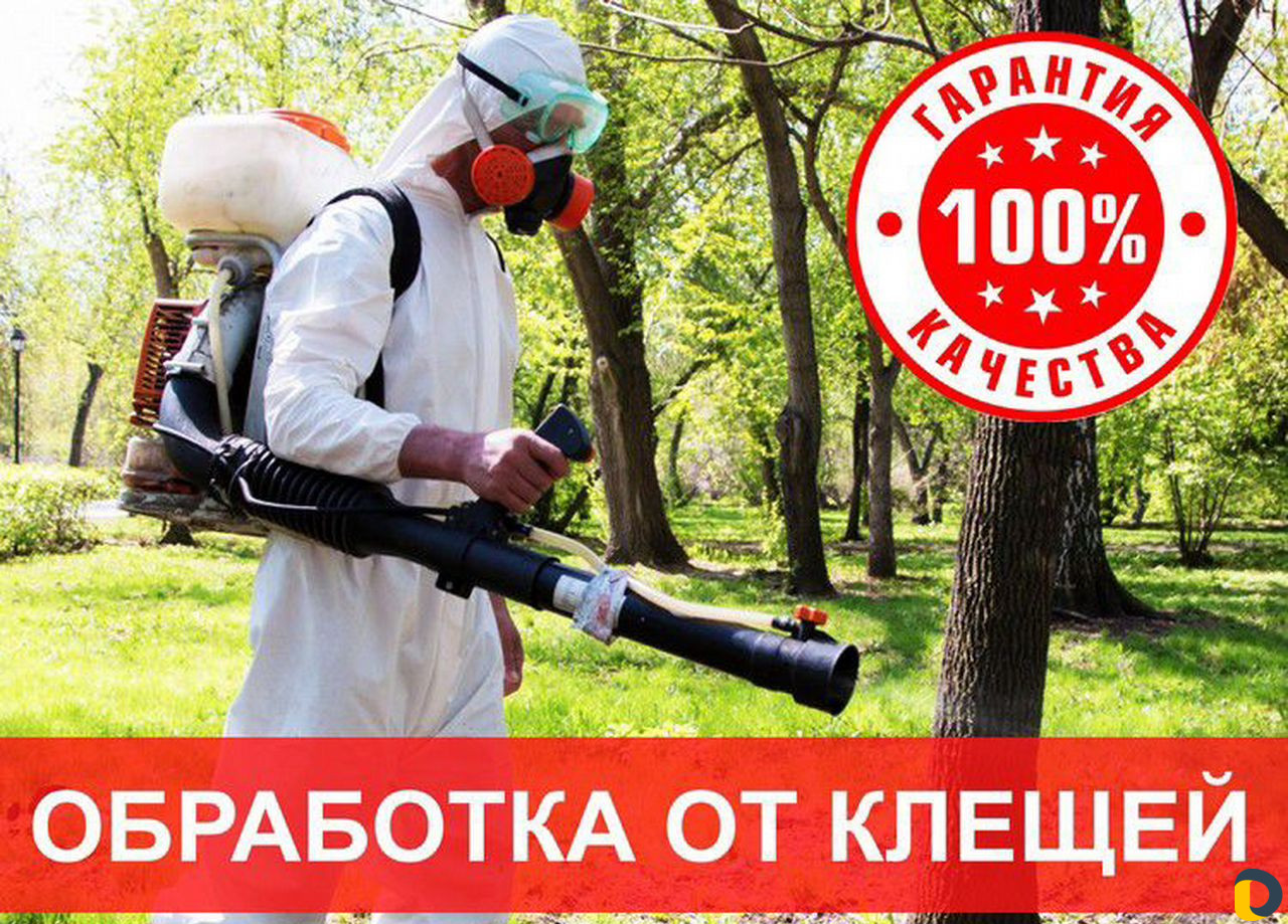 Обработка от клещей и комаров