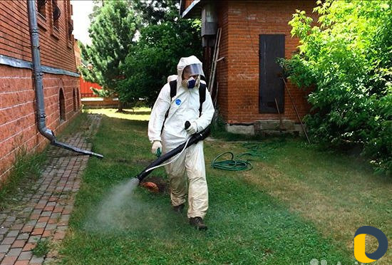 Обработка от клещей, тараканов, клопов Каспийск