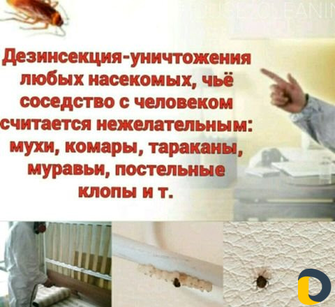Обработка от клопов,тараканов, муравьёв