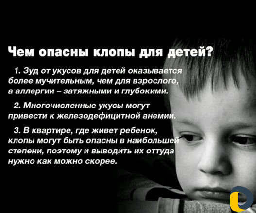 Обработка от клопов,тараканов, муравьёв