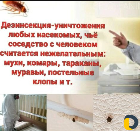 Обработка от клопов,тараканов, муравьёв