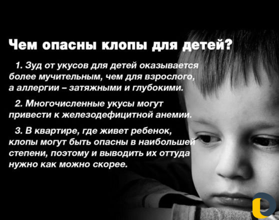 Обработка от клопов,тараканов, муравьёв