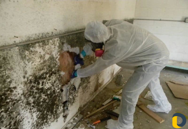 Обработка от тараканов, клопов, блох Хасавюрт