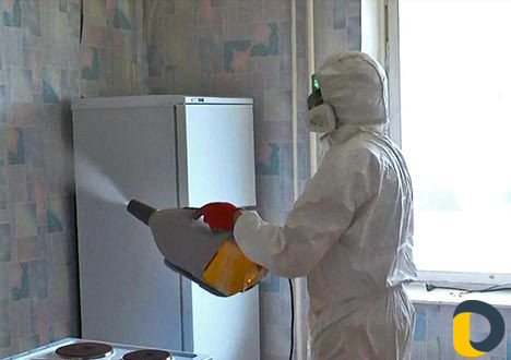 Обработка от тараканов, клопов, блох Хасавюрт