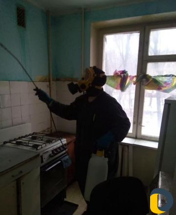 Обработка от тараканов, клопов, блох Хасавюрт