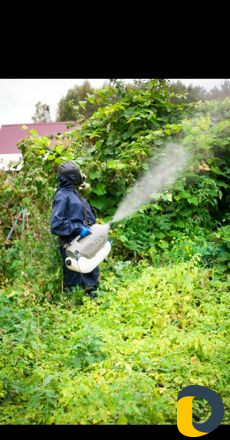 Обработка от тараканов, клопов, блох Хасавюрт