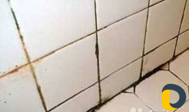 Обработка от тараканов, клопов, комаров Хасавюрт