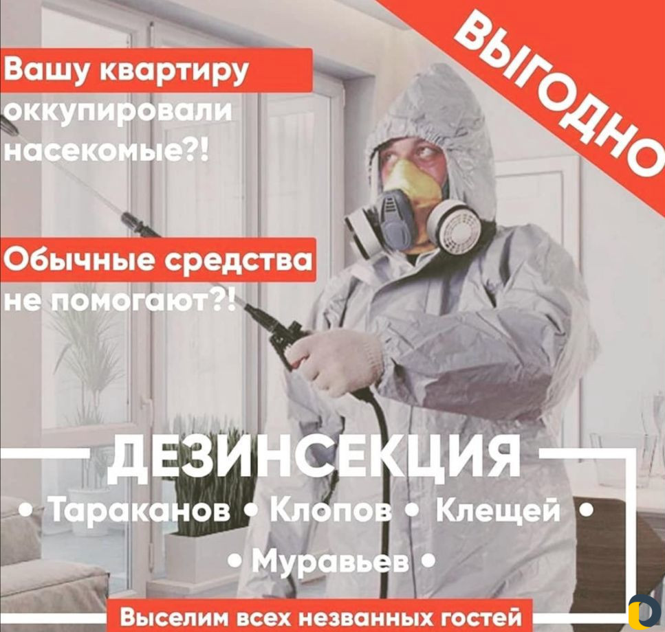 Обработка от тараканов, клопов, крыс. Краснодар