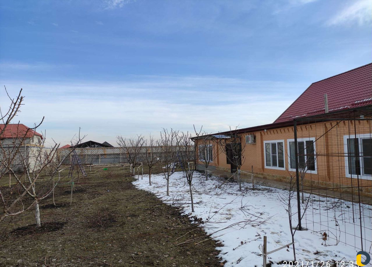 Обрезка деревьев