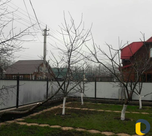 Обрезка фруктовых деревьев