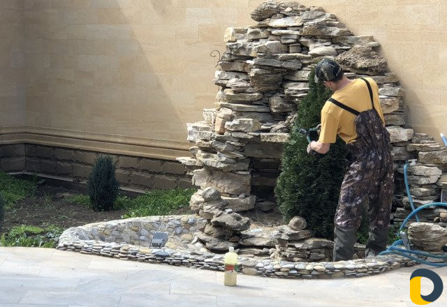 Обрезка, опрыскивание и спил деревьев