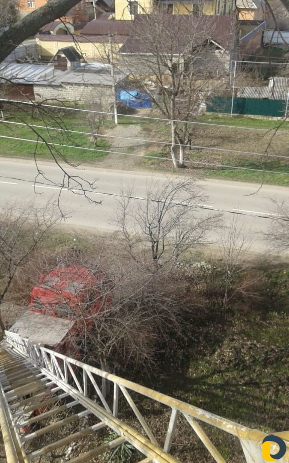 Обрезка спил деревьев