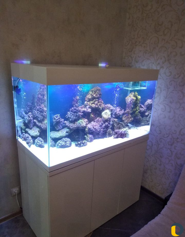 Обслуживание чистка аквариумов