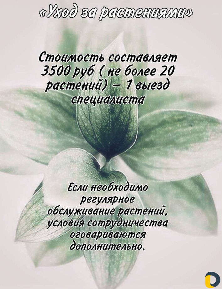 Обслуживание фитостен, озеленение интерьера