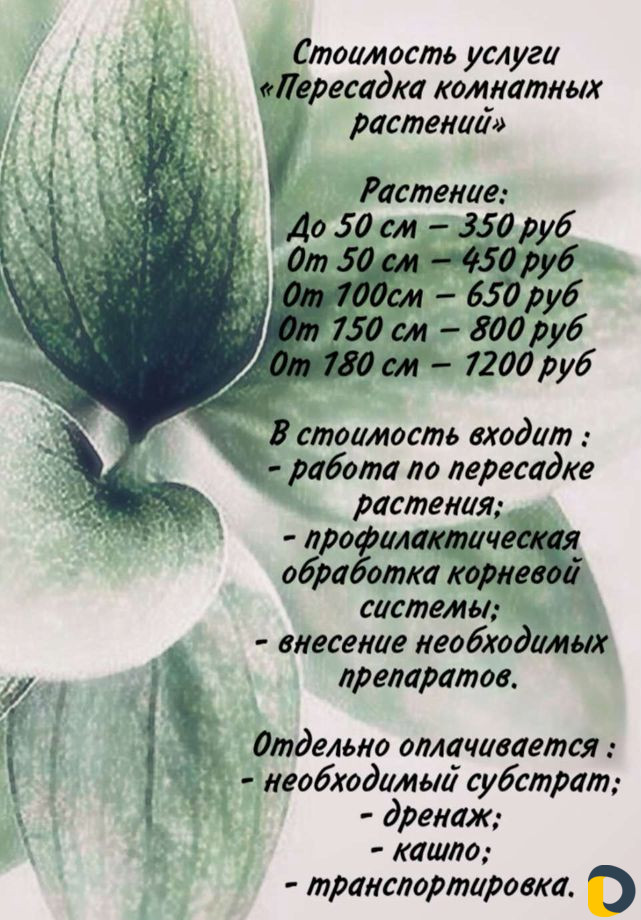 Обслуживание фитостен, озеленение интерьера