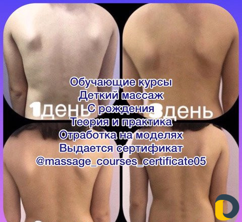 Обучающие курсы