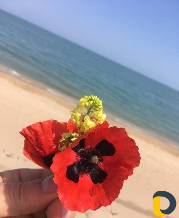 Обучающие курсы