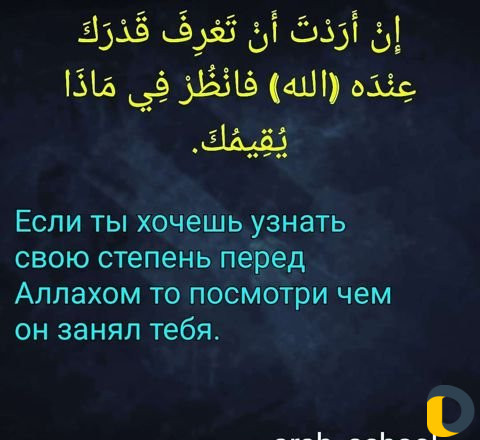 Обучение Арабскому языку