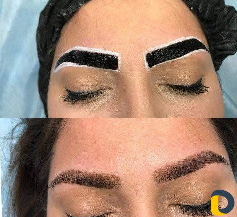 Обучение Архитектура бровей