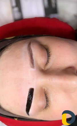 Обучение Архитектура бровей