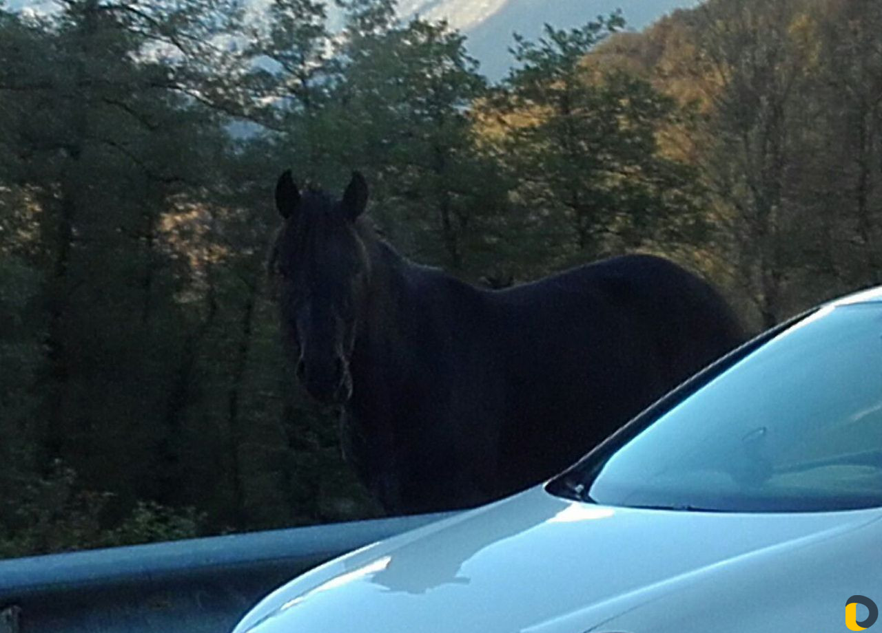 Обучение Безопасному и Грамотному Управлению тс