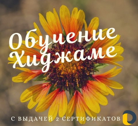 Обучение