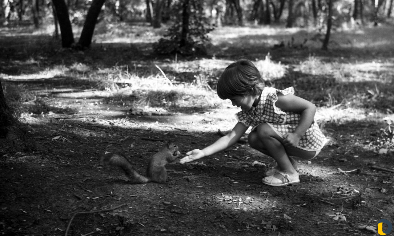 Оцифровка (сканирование) фотоплёнок и фотографий