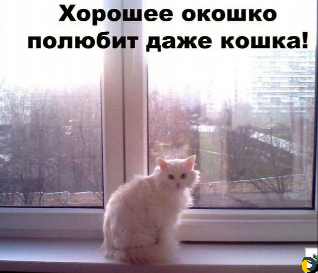 Окна от производителя