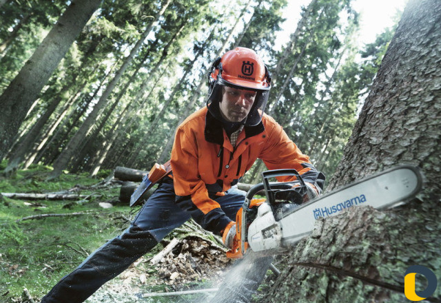 Опрыскивание от вредителей. Стрижка газона. Спил д