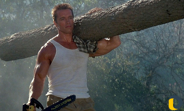 Опрыскивание от вредителей. Стрижка газона. Спил д