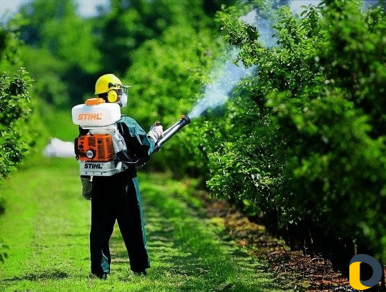 Опрыскивание от вредителей. Стрижка газона. Спил д