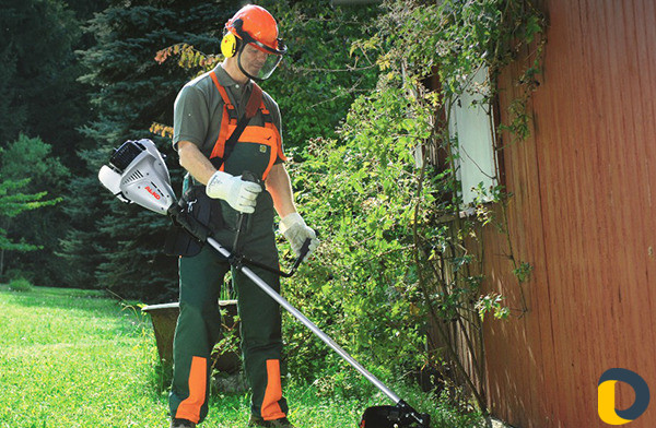 Опрыскивание от вредителей. Стрижка газона. Спил д