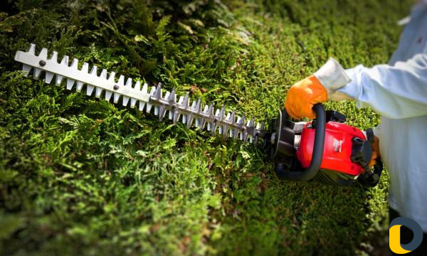 Опрыскивание от вредителей. Стрижка газона. Спил д